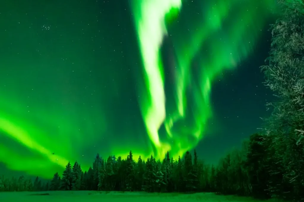 Bronwin Aurora Brand and Online Presence: A Full Overview